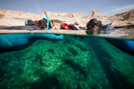 Snorkeling dans l'archipel du Frioul