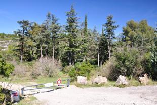 Forest of la Gardiole made up of firs, pines and cypress