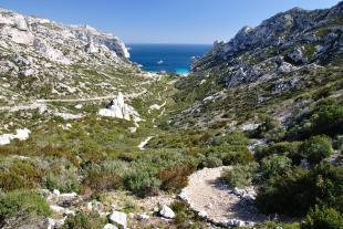 Road and path to the calanque
