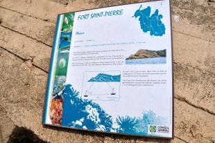 Informations about St Pierre fort Abacus