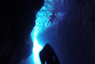 Marine access in free diving