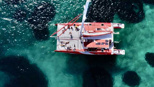 Visit of the Calanques National Park with the catamaran Vela