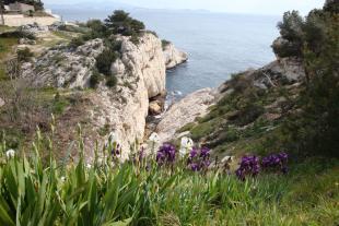 Bord de mer Niolon