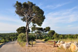 The forest house of la Gardiole