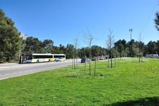 Bus n°21 at Luminy