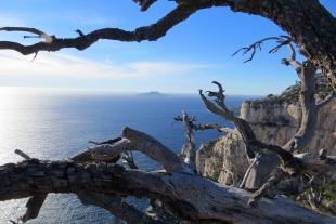 Île de Riou vue des falaises du Devenson