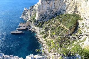 La calanque du Devenson