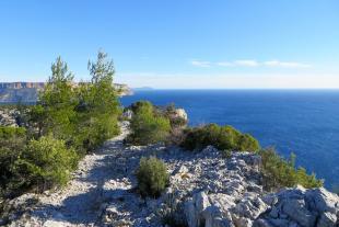 The hiking trail GR98-51 to reach Cassis