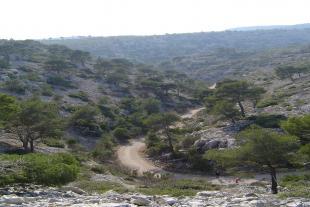 Entrance road of En vau