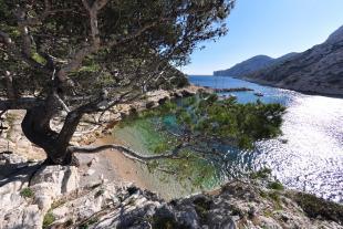 Plage de Morgiou