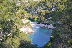 Calanque de Port pin vue entre les arbres