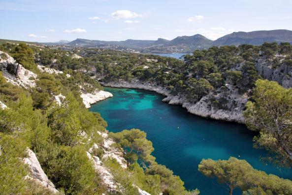 Port-pin, une calanque encore boisée