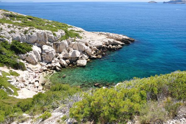 Queyrons en arrivant de la calanque de Marseilleveyre