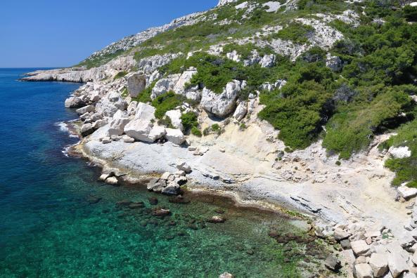 Roches plates en direction de la calanque de Marseilleveyre