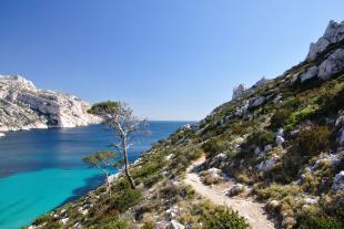 Chemin du cap Sormiou