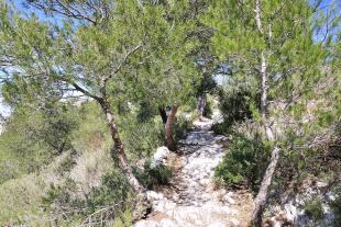 High part of the vallon des Escampons