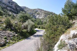 Virages avant la calanque de Morgiou