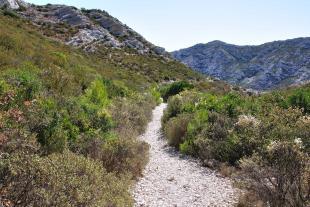 Chemin allant à Sormiou