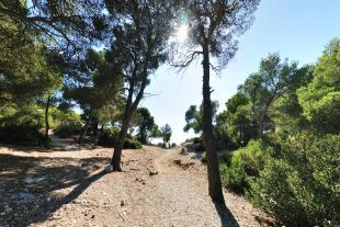 Col des Baumettes