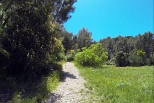 Red-marked path of the Baumettes park