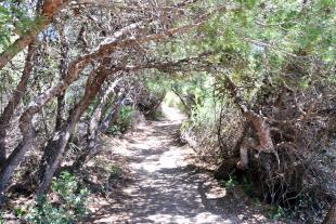 Sentier allant vers les Queyrons