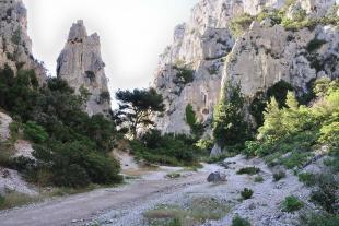 Last curve before discovering the sea and the calanque d'En-vau