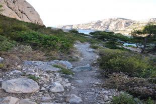 Path go down after the chain with cliff on the left