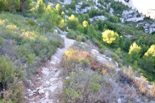 Sentier descendant sur Morgiou