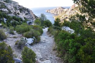 Vue sur le cap Morgiou