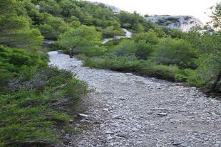 Path from Luminy to Morgiou