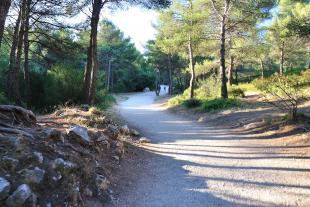 Chemin allant au col de Sugiton