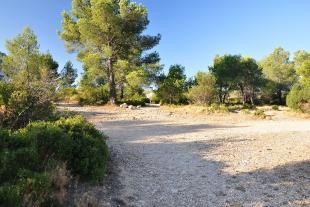 Chemin allant à Morgiou