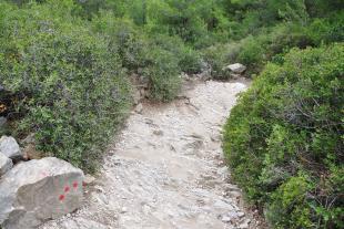 Sentier au col de Sugiton