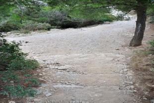 Sentier de Sugiton et route