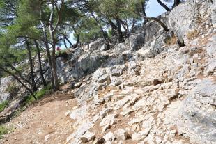 The path goes up before arring at Port pin