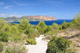 Soubeyranes hills of Cassis