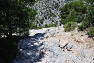 Descente sur le vallon d'En-vau