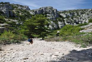 Fallen rocks on the path to get En-vau