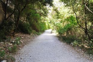 Chemin dans le vallon d'En-vau