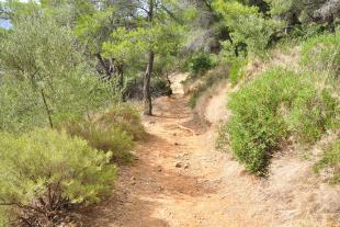 Chemin de randonnée sur l'île Verte