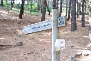 To the calanque de Seynerolles