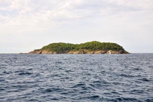Île verte (Green Island)
