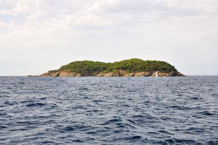 L'île Verte