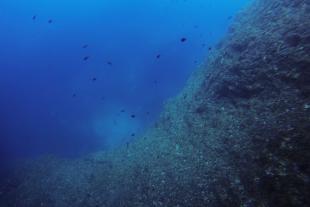 Underwater cliff at the exit of the cave