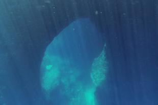 Underwater Arch