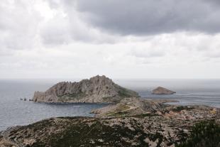 Maïre island and the turtle