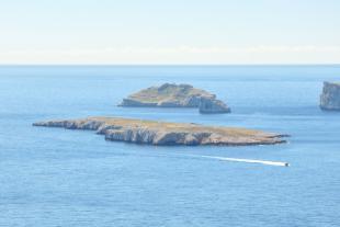 L'île Plane avec derrière: le petit et le grand congloué