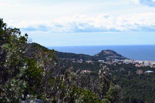 Le Mont Rose